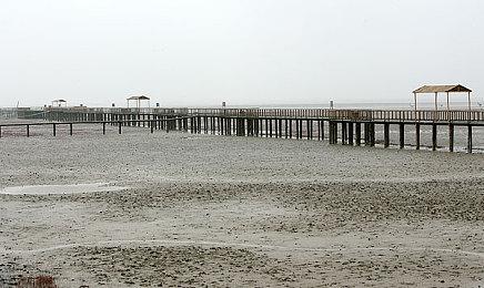 《铲子骑士》开发商新作《挖洞鼠米娜》众筹期延长